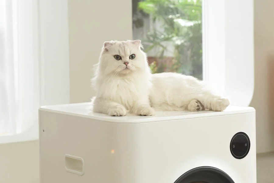 automatic cat box reviews