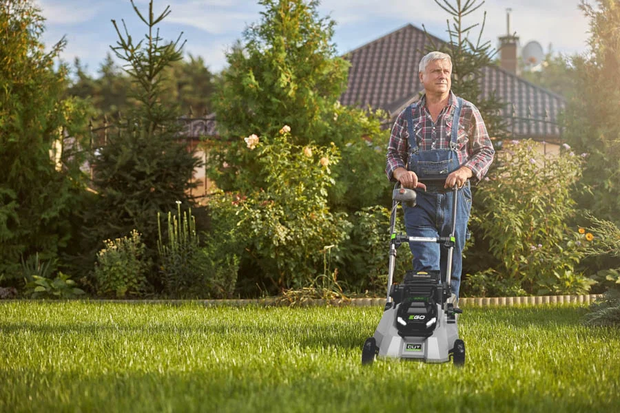 best budget mower
